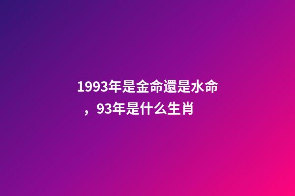 1993年是金命還是水命，93年是什么生肖